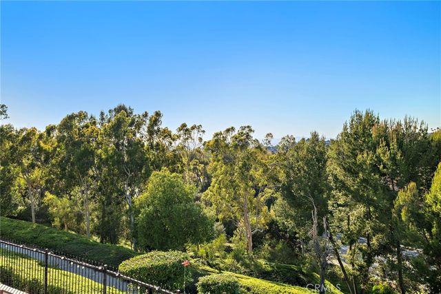 6425 E Shady Valley Lane, Anaheim Hills, CA 92807