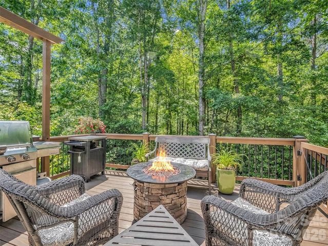 1042 Columbine Road, Asheville, NC 28803