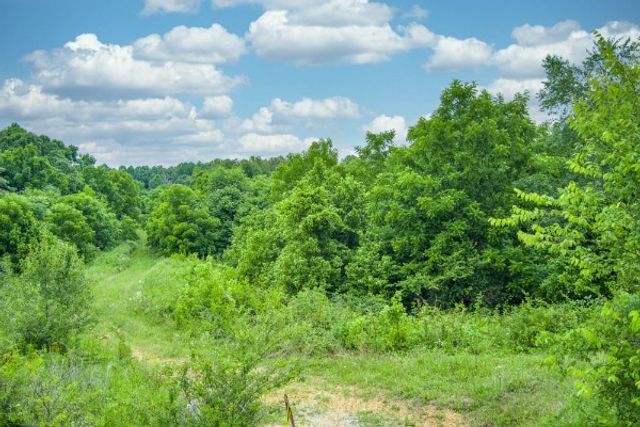 0 Center point acres, N, Walling, TN 38587
