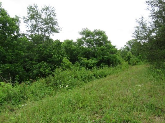 0 Center point acres, N, Walling, TN 38587