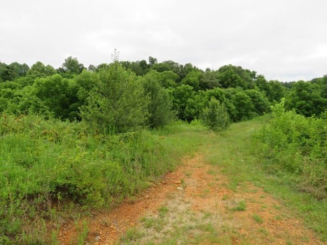 0 Center point acres, N, Walling, TN 38587