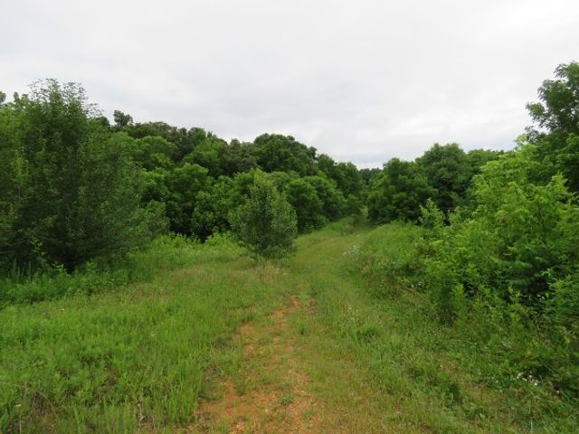 0 Center point acres, N, Walling, TN 38587