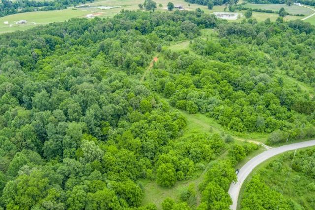 0 Center point acres, N, Walling, TN 38587