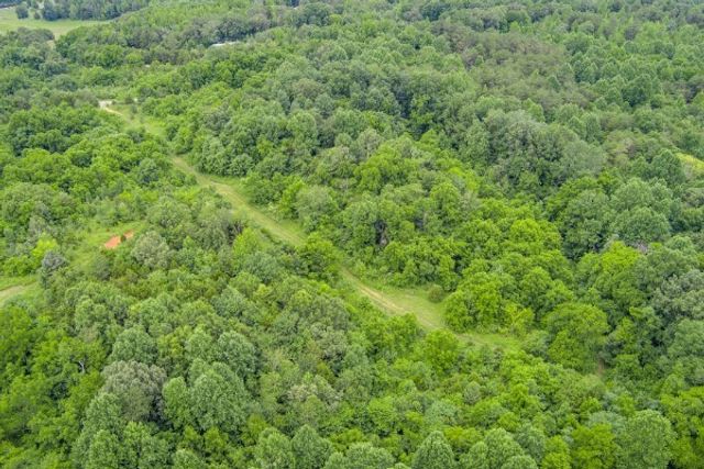 0 Center point acres, N, Walling, TN 38587