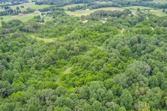 0 Center point acres, N, Walling, TN 38587