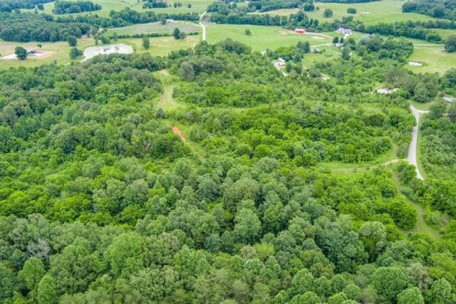 0 Center point acres, N, Walling, TN 38587