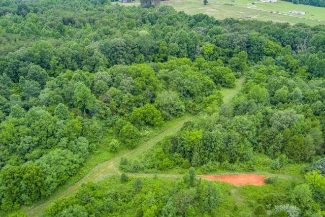 0 Center point acres, N, Walling, TN 38587