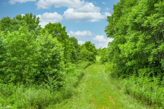 0 Center point acres, N, Walling, TN 38587