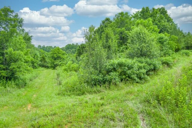 0 Center point acres, N, Walling, TN 38587