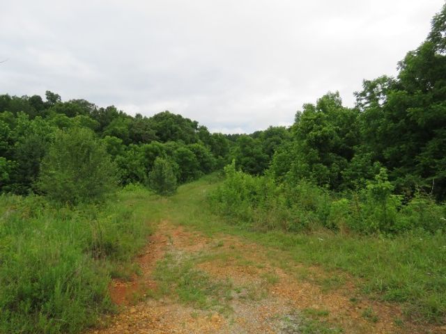 0 Center point acres, N, Walling, TN 38587