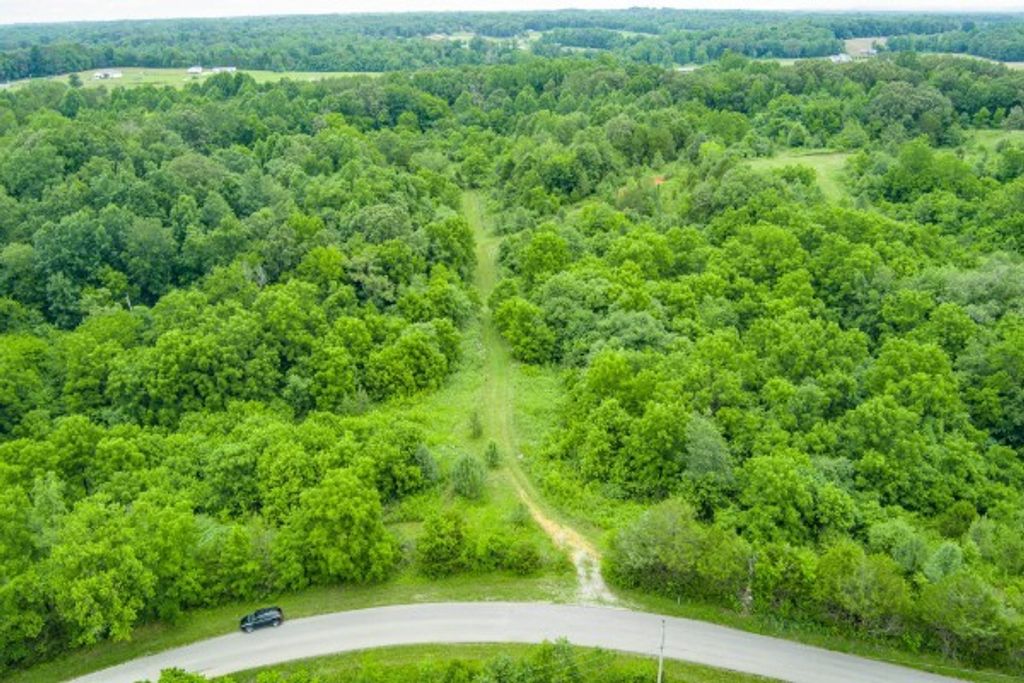 0 Center point acres, N, Walling, TN 38587