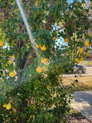 1322 Lincoln Ave, La Junta, CO 81050