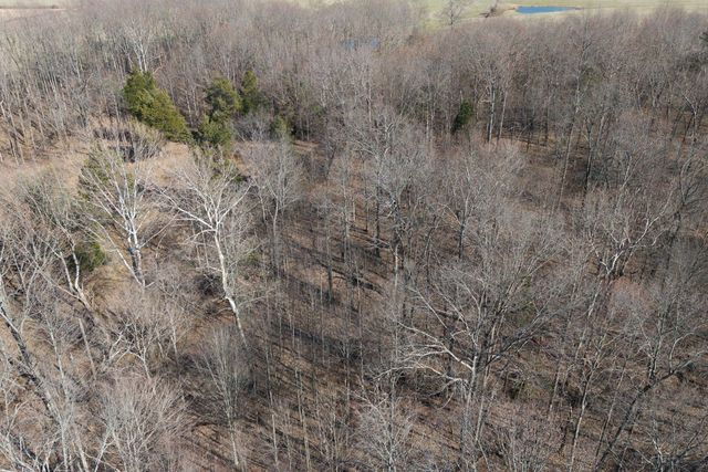 782B New Deal Potts Rd, Cottontown, TN 37048