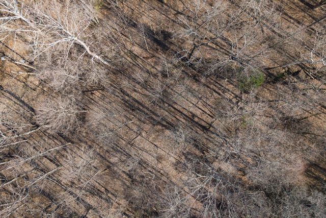 782B New Deal Potts Rd, Cottontown, TN 37048