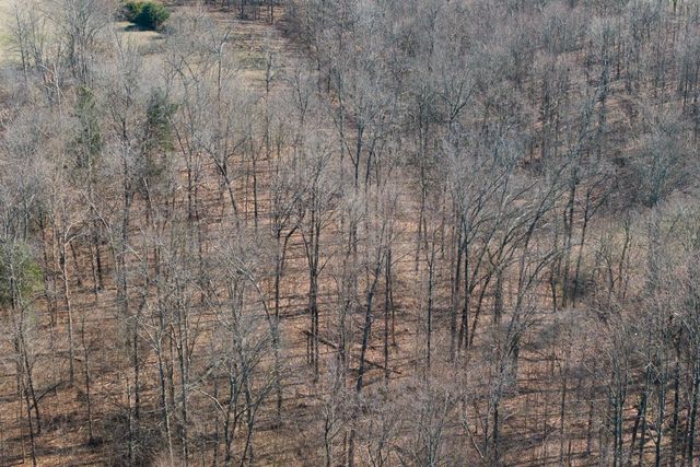 782B New Deal Potts Rd, Cottontown, TN 37048