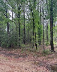 TBD Tract 5 Pride-baywood Rd, Pride, LA 70770