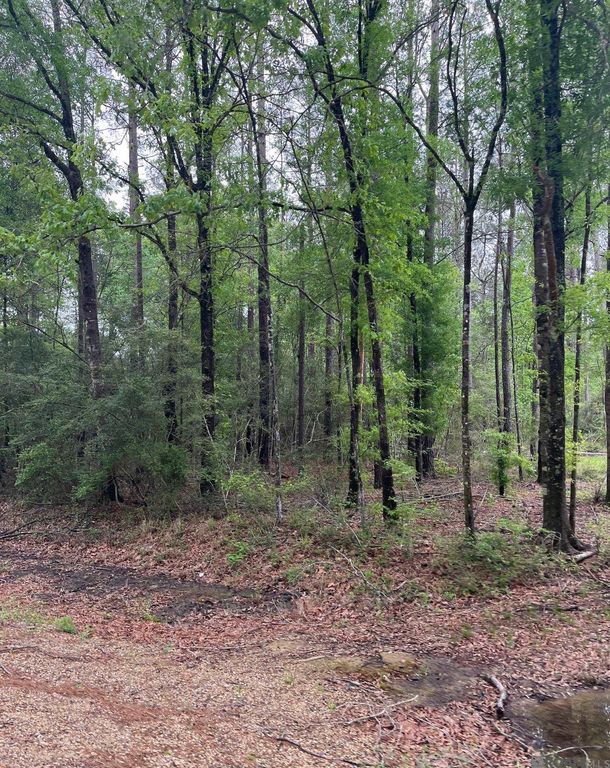 TBD Tract 5 Pride-baywood Rd, Pride, LA 70770