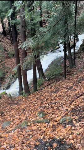 82 Scotts Drive, Charlestown, NH 03603