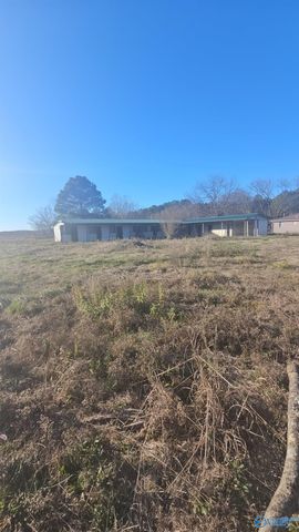 80 Wagnon Ferry Road, Gadsden, AL 35901