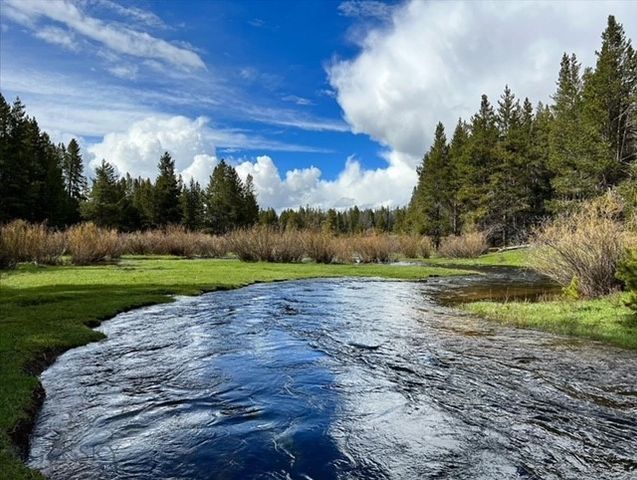11203 Skinners Meadows Road Road, Jackson, MT 59736