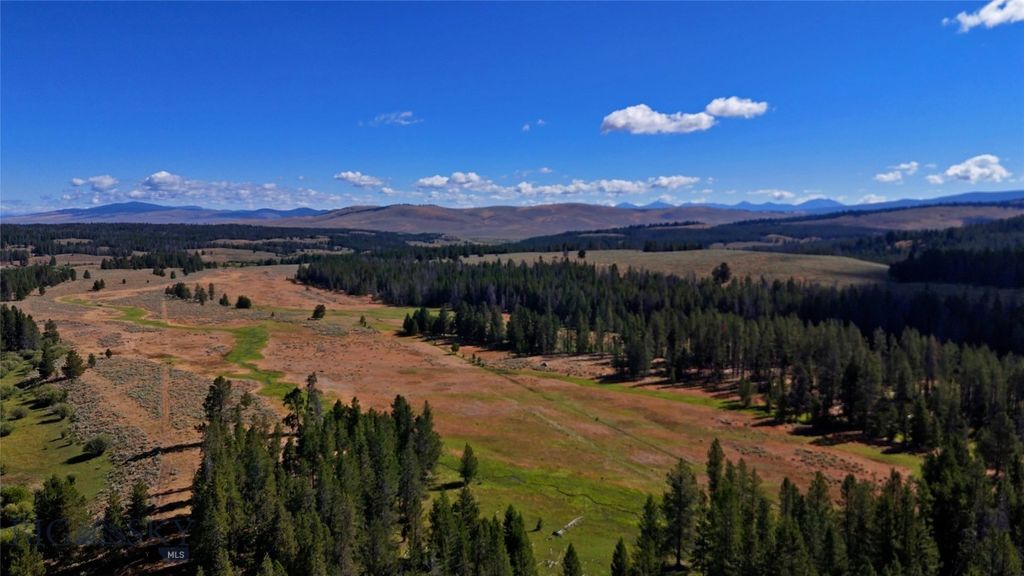 11203 Skinners Meadows Road Road, Jackson, MT 59736 photo 10