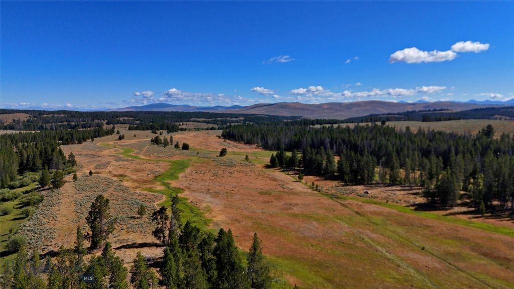 11203 Skinners Meadows Road Road, Jackson, MT 59736 photo 11