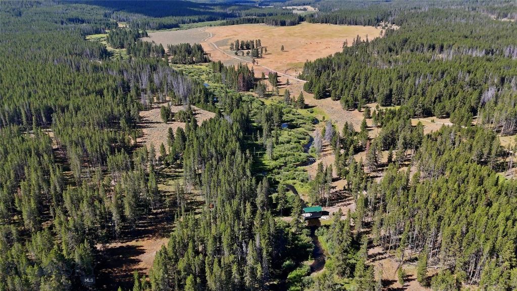 11203 Skinners Meadows Road Road, Jackson, MT 59736 photo 15