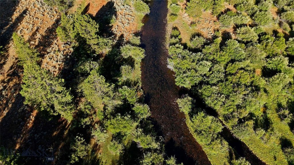 11203 Skinners Meadows Road Road, Jackson, MT 59736 photo 16