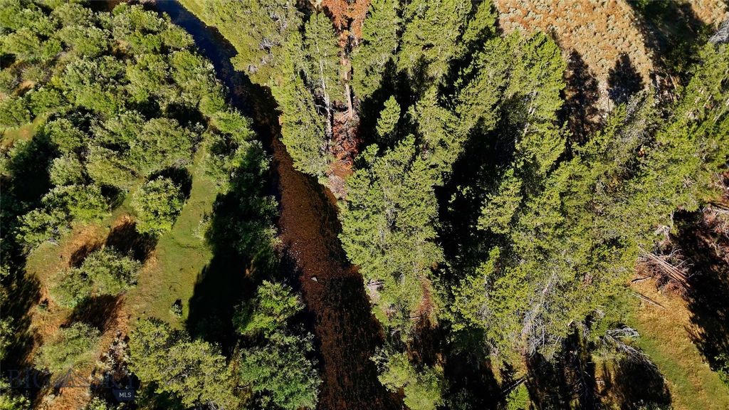 11203 Skinners Meadows Road Road, Jackson, MT 59736 photo 17