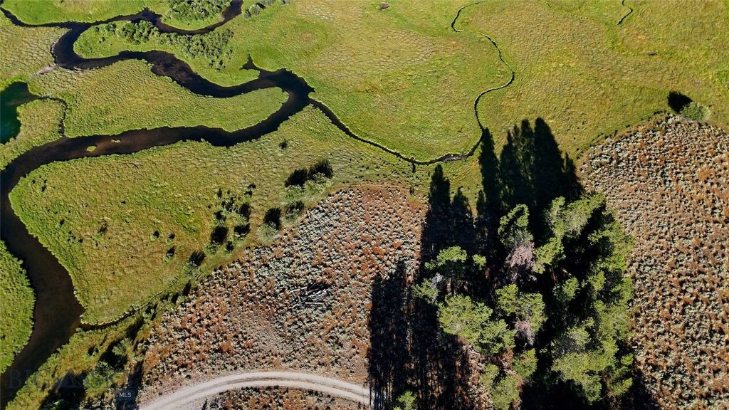 11203 Skinners Meadows Road Road, Jackson, MT 59736 photo 18