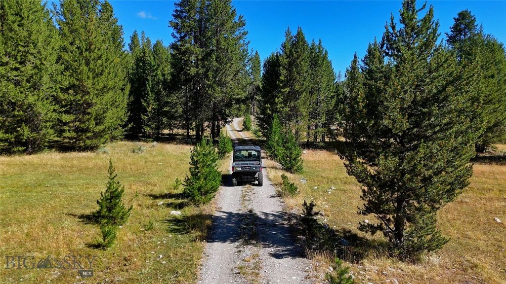 11203 Skinners Meadows Road Road, Jackson, MT 59736 photo 23