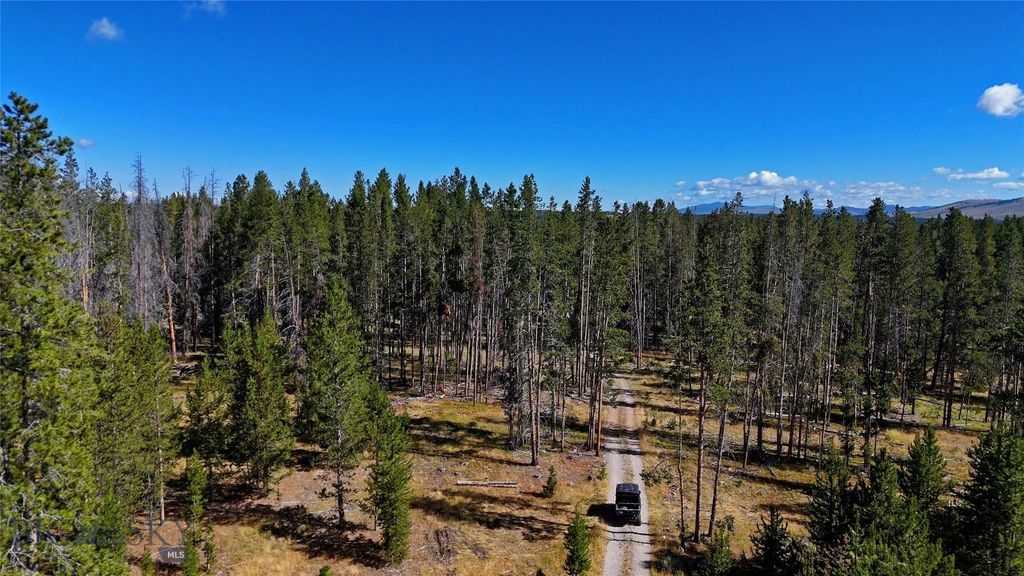 11203 Skinners Meadows Road Road, Jackson, MT 59736 photo 24