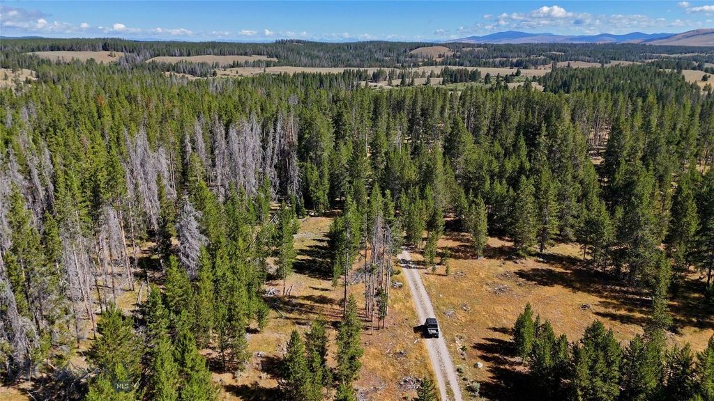 11203 Skinners Meadows Road Road, Jackson, MT 59736 photo 25