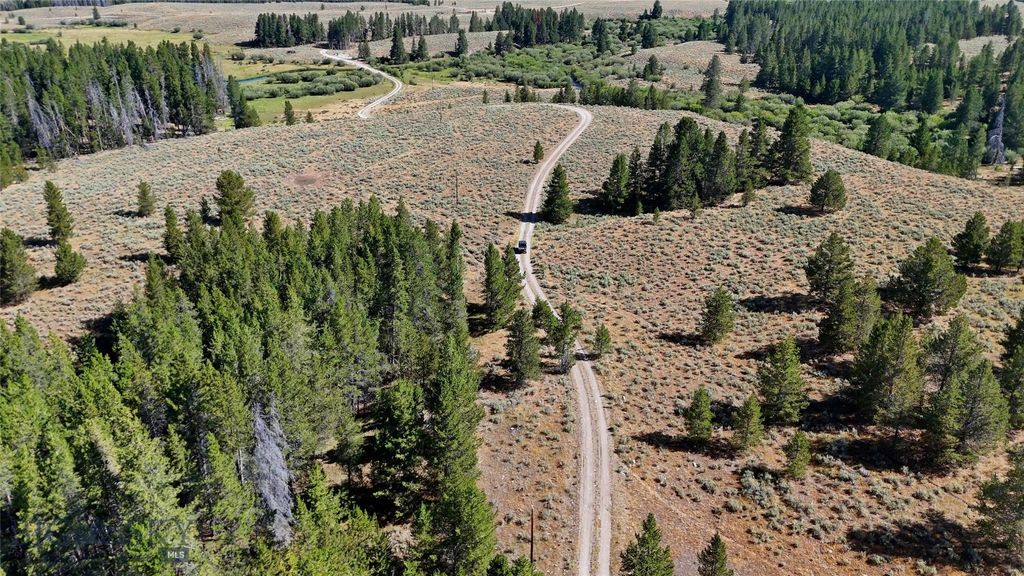 11203 Skinners Meadows Road Road, Jackson, MT 59736 photo 27