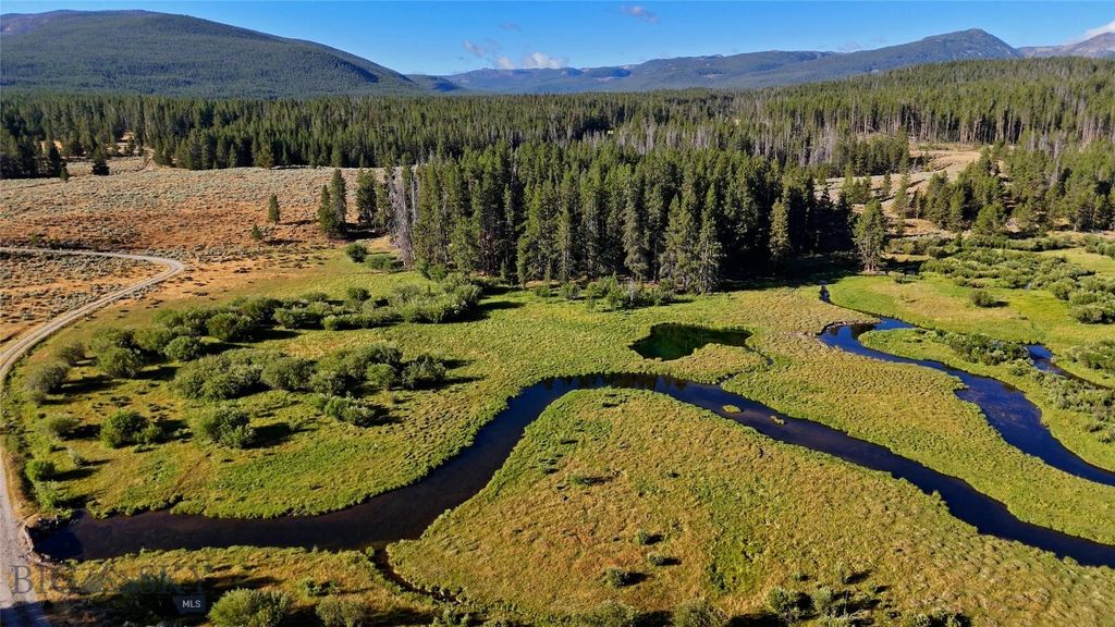 11203 Skinners Meadows Road Road, Jackson, MT 59736 photo 4