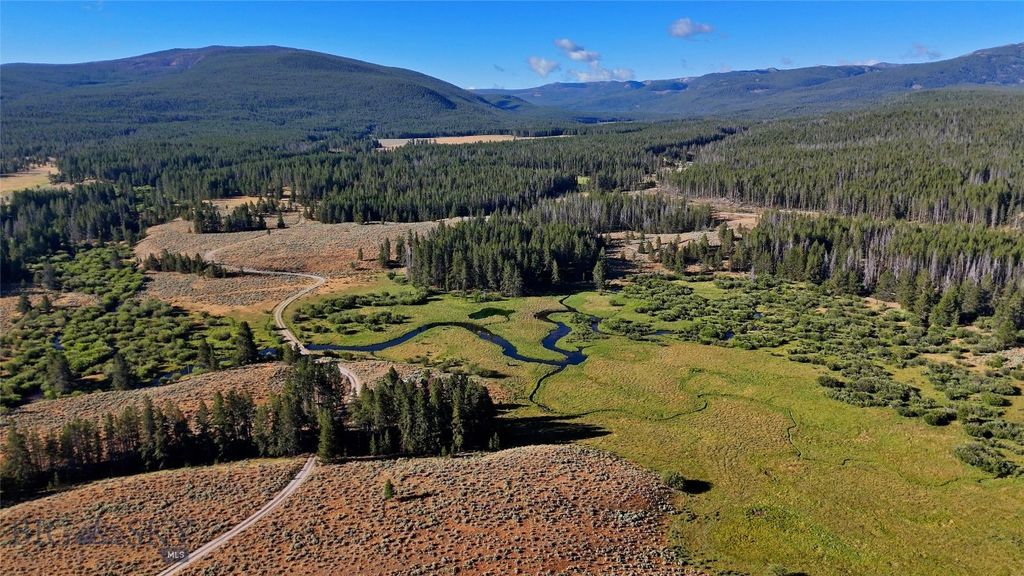 11203 Skinners Meadows Road Road, Jackson, MT 59736 photo 56