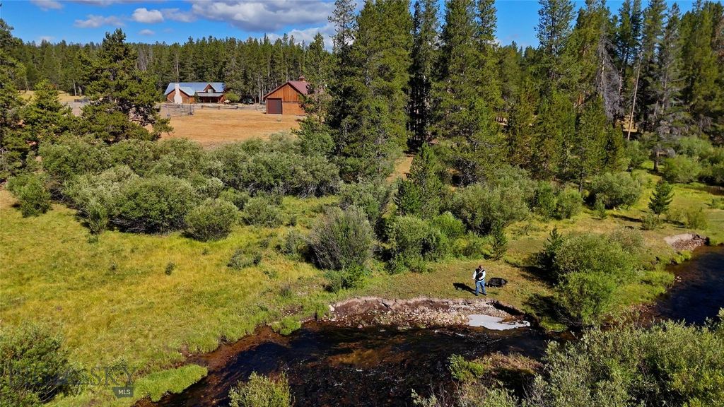 11203 Skinners Meadows Road Road, Jackson, MT 59736 photo 6