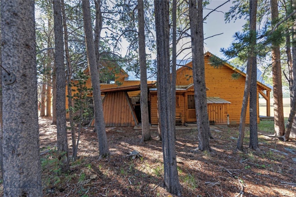 11203 Skinners Meadows Road Road, Jackson, MT 59736 photo 63