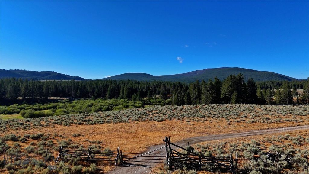 11203 Skinners Meadows Road Road, Jackson, MT 59736 photo 64