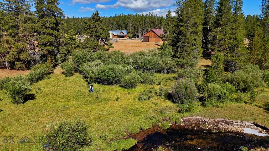 11203 Skinners Meadows Road Road, Jackson, MT 59736 photo 7