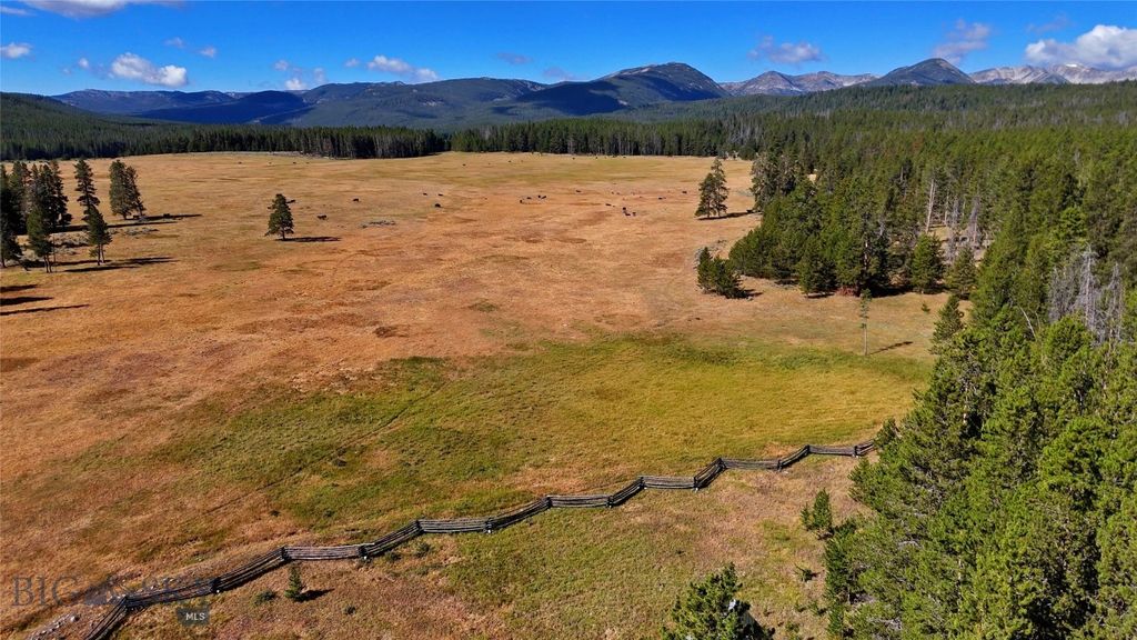 11203 Skinners Meadows Road Road, Jackson, MT 59736 photo 9
