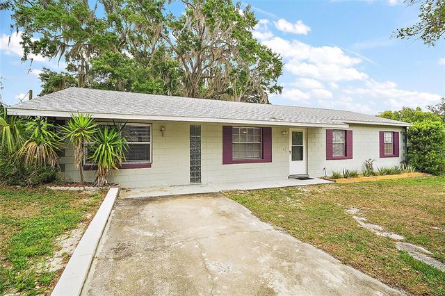 706 MICHIGAN STREET, Mount Dora, FL 32757