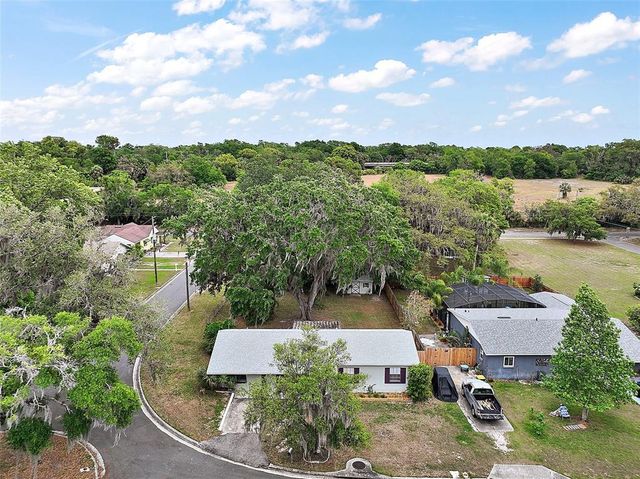 706 MICHIGAN STREET, Mount Dora, FL 32757