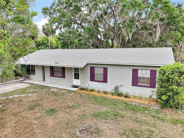 706 MICHIGAN STREET, Mount Dora, FL 32757