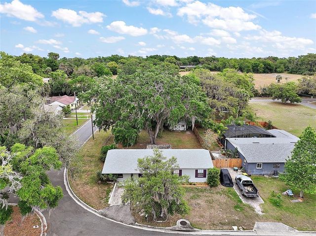 706 MICHIGAN STREET, Mount Dora, FL 32757