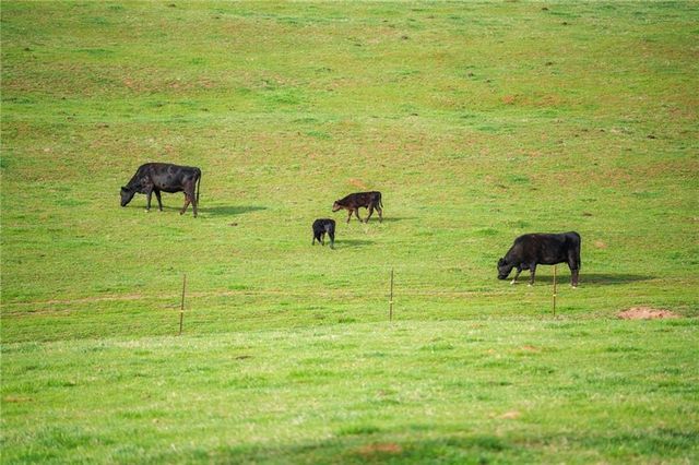 201 Fred Pitts Road, Demorest, GA 30535