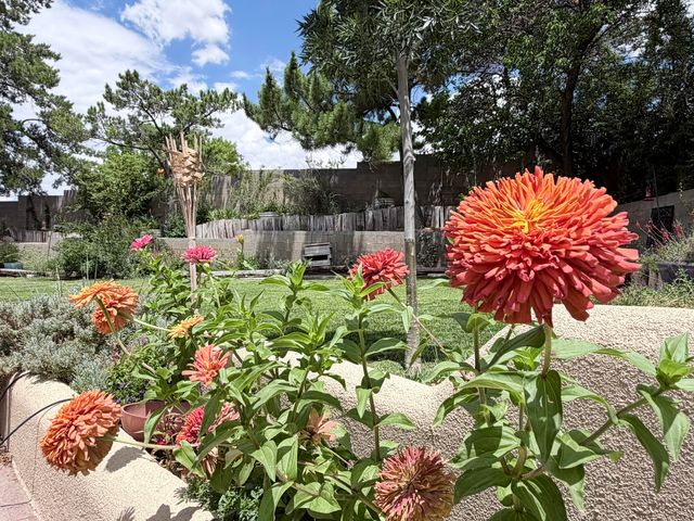 2524 Madre Drive NE, Albuquerque, NM 87112
