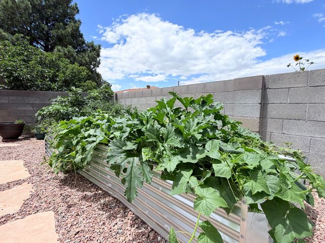 2524 Madre Drive NE, Albuquerque, NM 87112