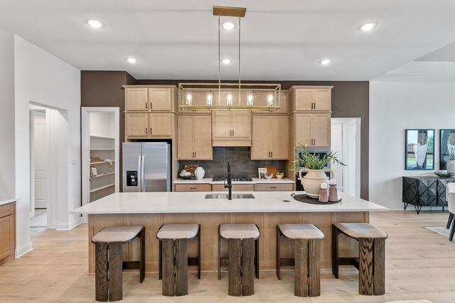 239 Wintergrass Drive, Waxahachie, TX 75165