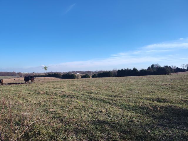 1672 E 355th Road, Bolivar, MO 65613